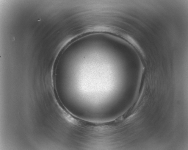 X0000062920988200601131447