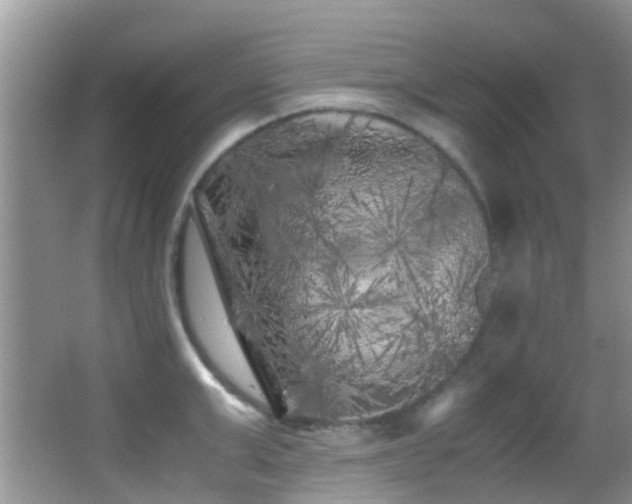 X0000062920999200601131447