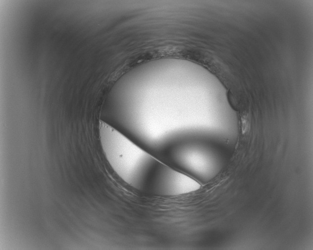 X0000062921011200601131446