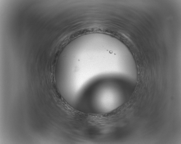 X0000062921015200601131446