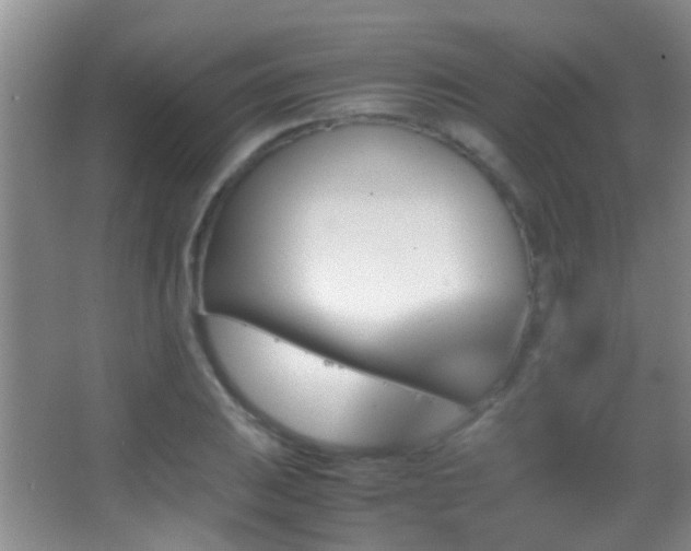 X0000062921031200601131447