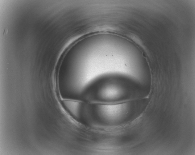 X0000062921032200601131447