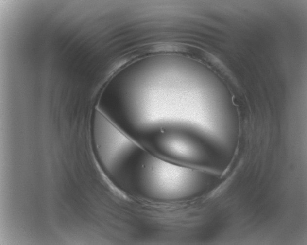 X0000062921033200601131447
