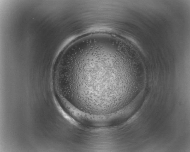 X0000062921038200601131447
