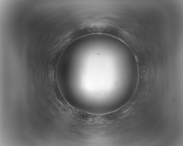 X0000062921061200601131446