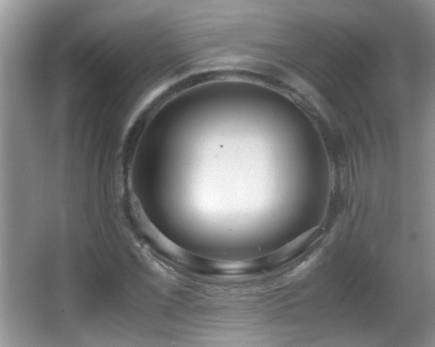 X0000062921069200601131446
