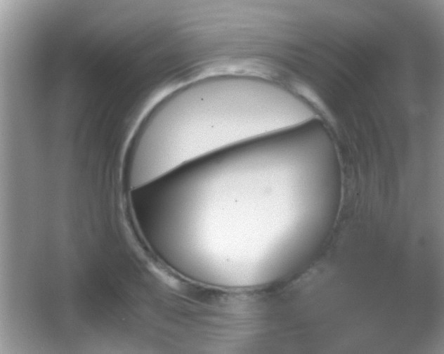 X0000062921079200601131446