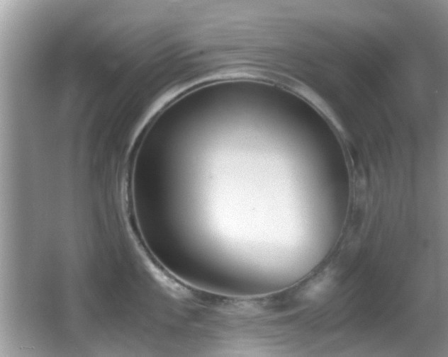 X0000062921101200601131445