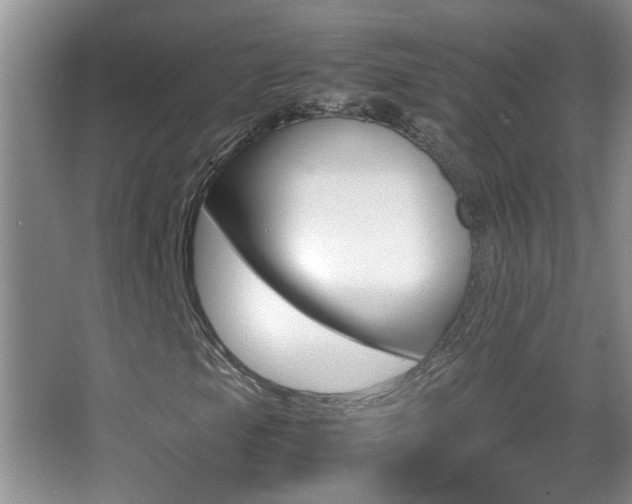 X0000062921105200601131445