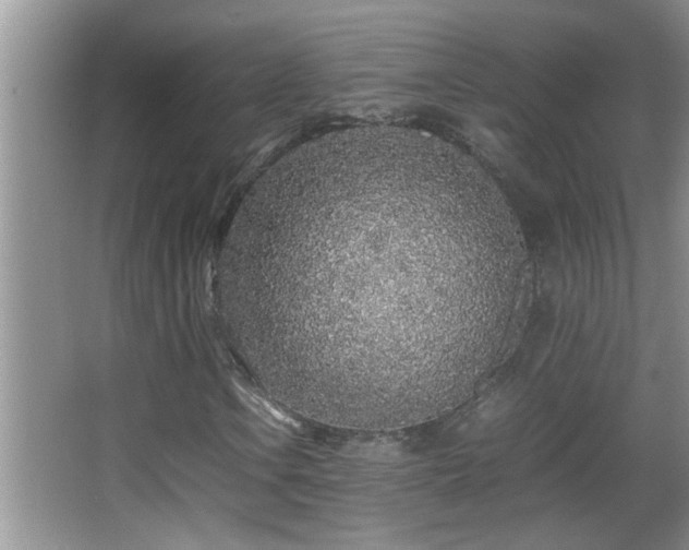 X0000062921106200601131445
