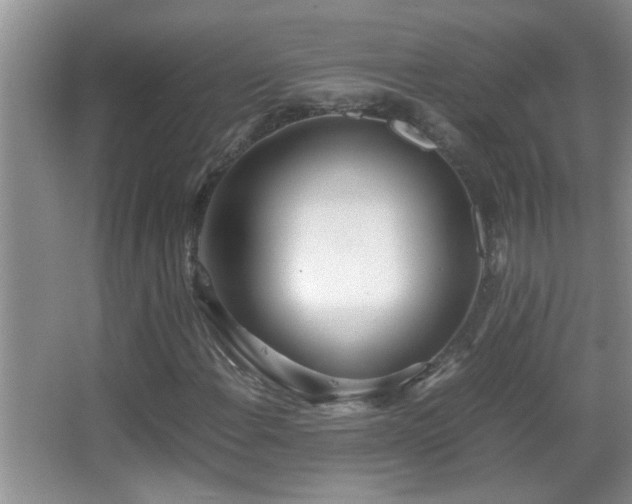 X0000062921108200601131445