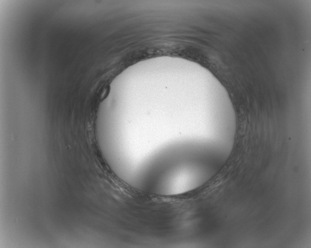 X0000062921109200601131445