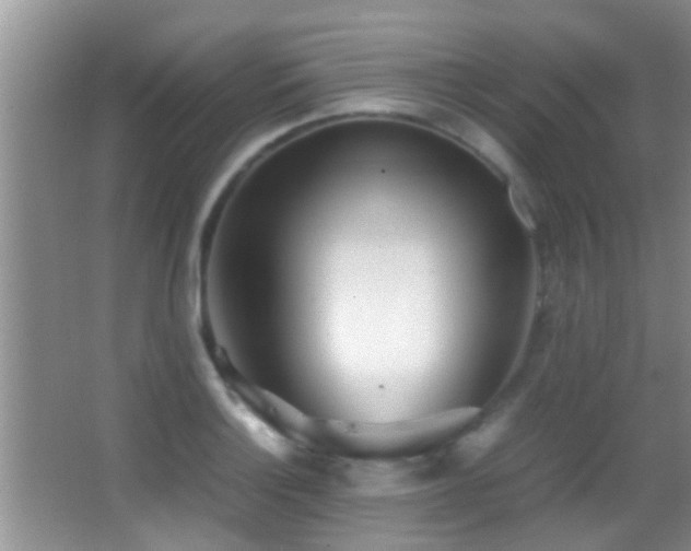 X0000062921132200601131445