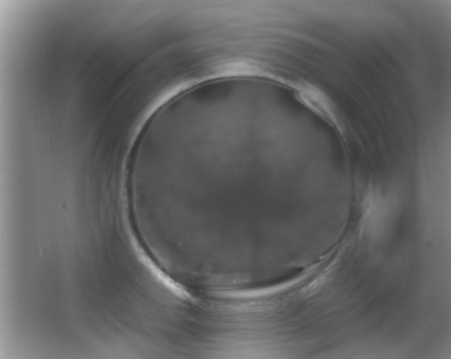X0000062921142200601131445