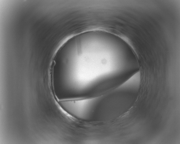 X0000062921151200601131445