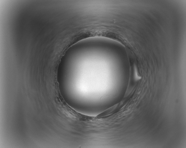 X0000062921153200601131445