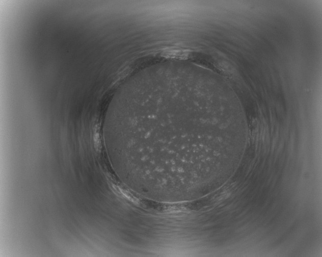 X0000062921154200601131445