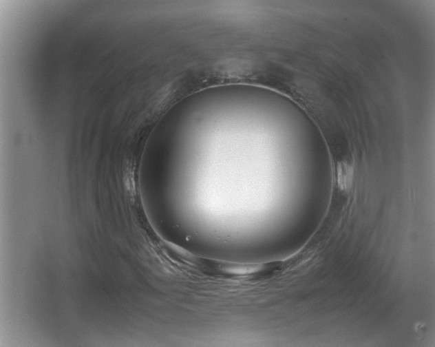 X0000062921155200601131445