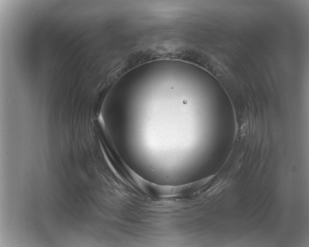X0000062921156200601131444