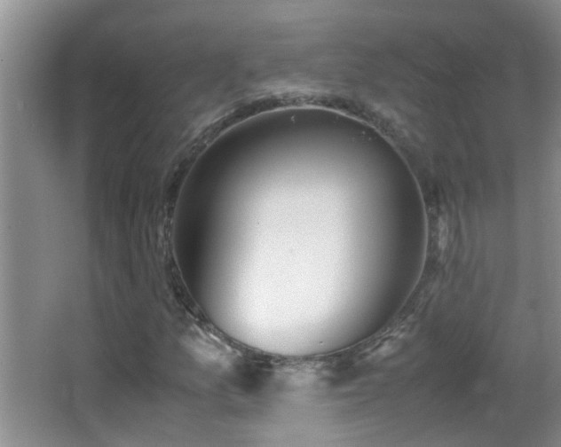 X0000062921157200601131444