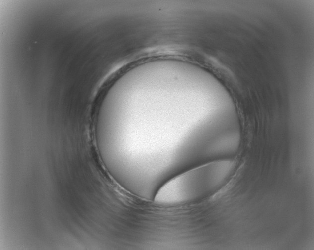 X0000062921166200601131444