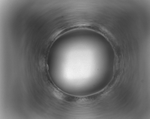 X0000062921169200601131444