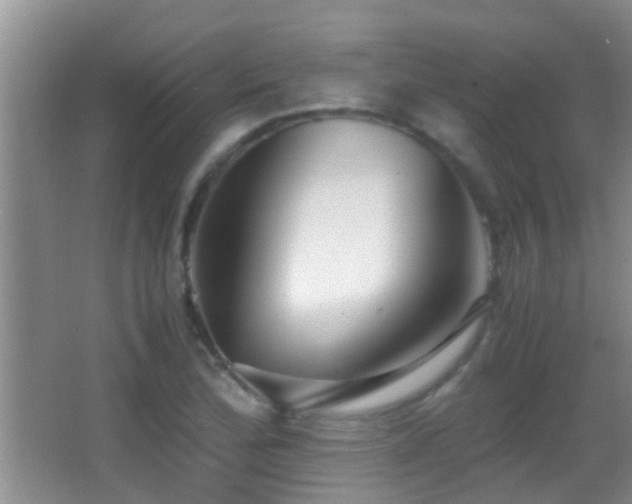 X0000062921172200601131444