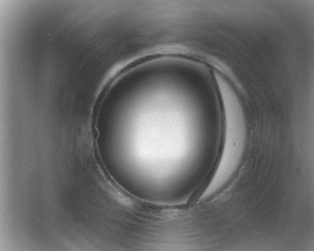 X0000062921176200601131444