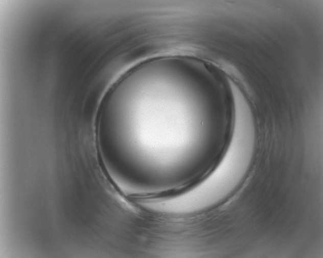 X0000062921184200601131444