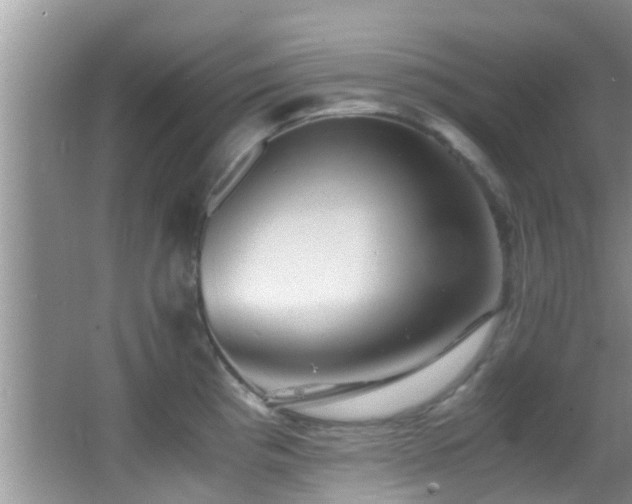 X0000062921193200601131444