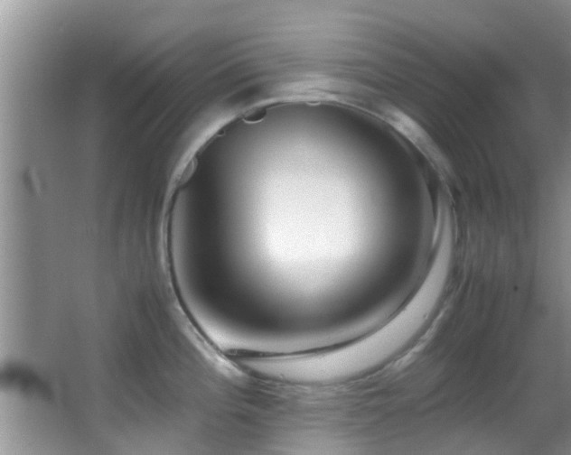 X0000062921196200601131444