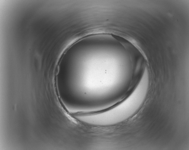 X0000062921197200601131444