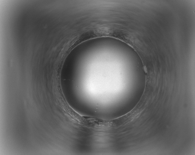 X0000062921201200601131443