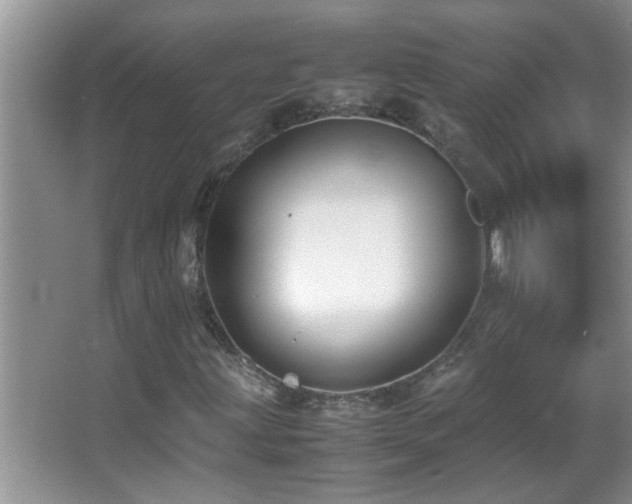 X0000062921203200601131443