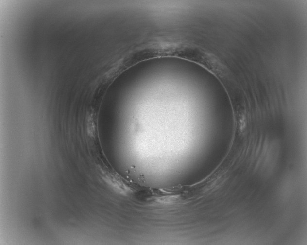 X0000062921204200601131443