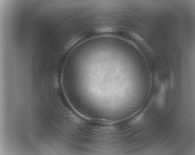 X0000062921209200601131443