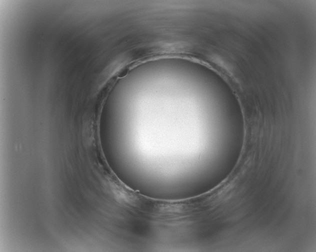 X0000062921211200601131443