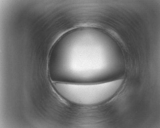 X0000062921228200601131443