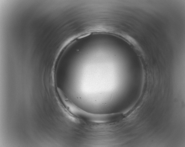 X0000062921238200601131444