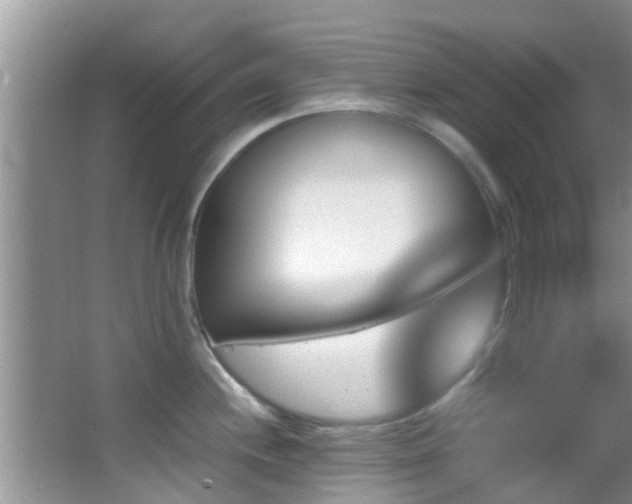 X0000062921244200601131444