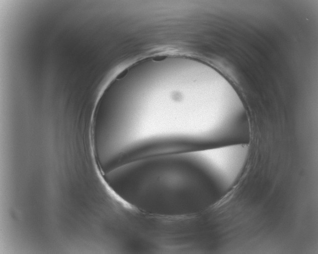 X0000062921247200601131444