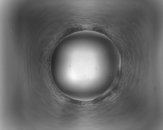 X0000062921249200601131443