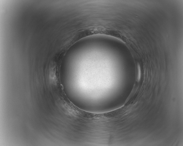 X0000062921250200601131443