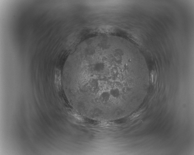 X0000062921251200601131443