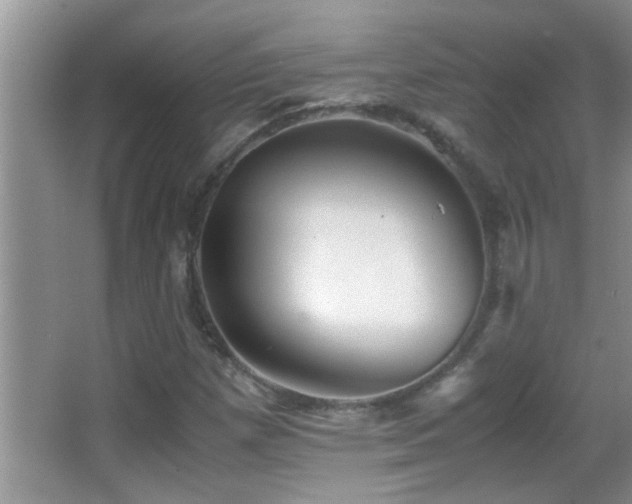 X0000062921257200601131443