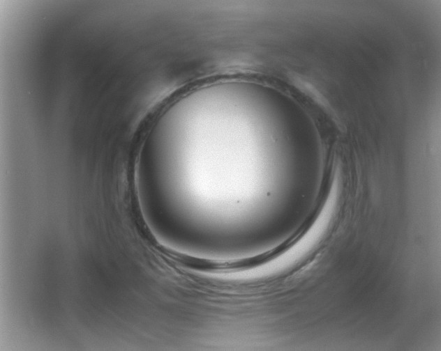 X0000062921261200601131443