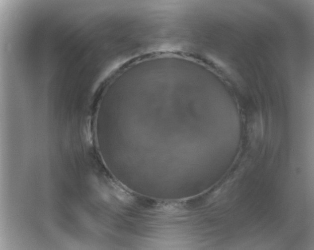 X0000062921262200601131443