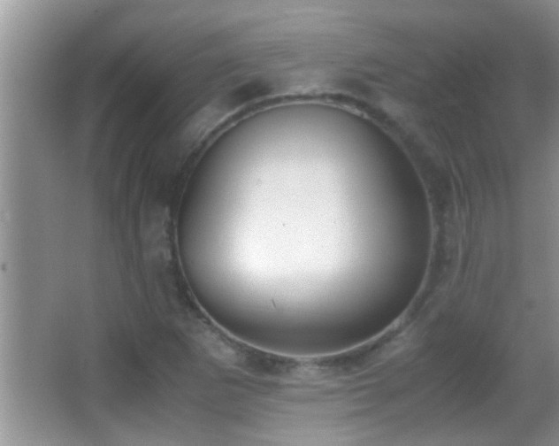 X0000062921265200601131443
