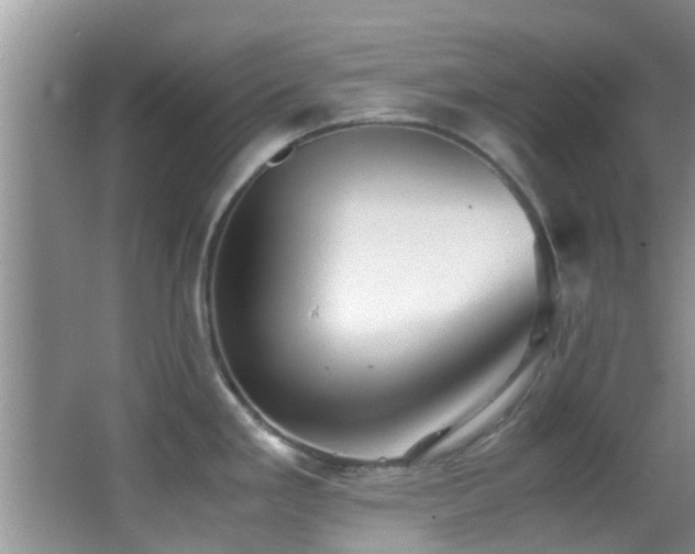 X0000062921293200601131442