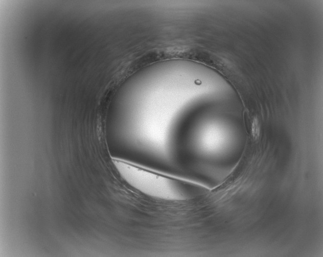 X0000062921299200601131441
